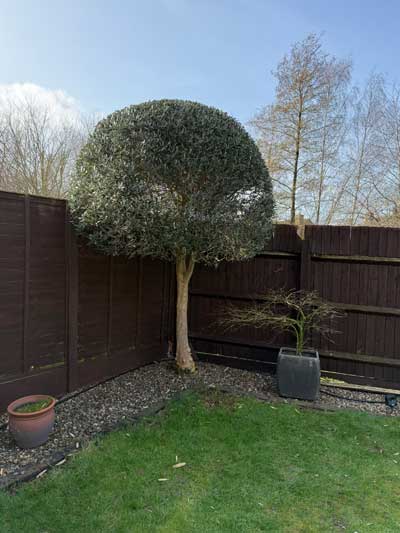 Feature hedge