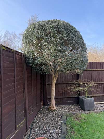 Feature hedge
