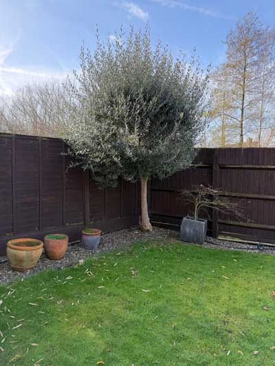 Feature hedge