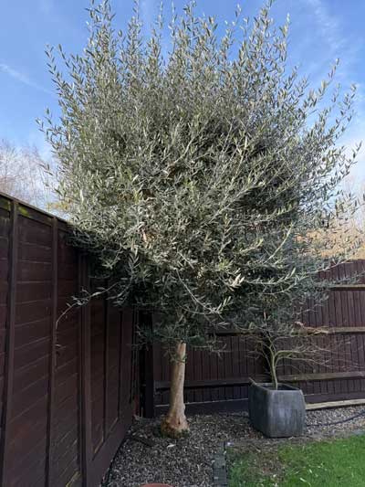 Feature hedge