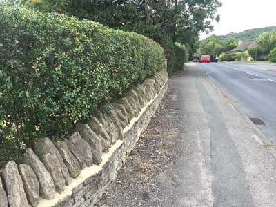 hedge trimming