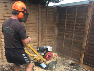 Project16 landscaping