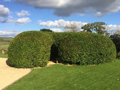 Feature hedge