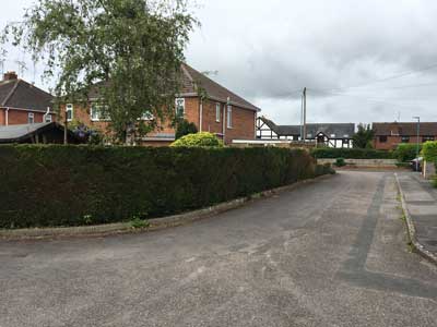 Project41 commercial groundwork