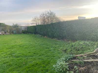 Project46 commercial groundwork